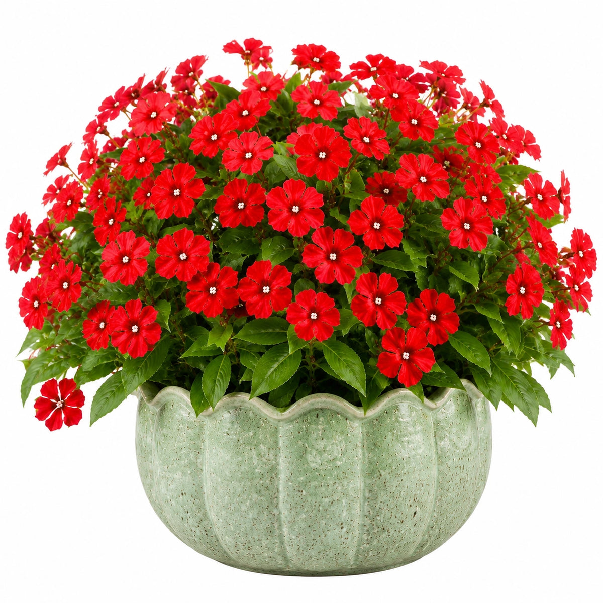 Plante fleurie artificielle en pot 45 cm rouge et vert en céramique pour intérieur décoratif
