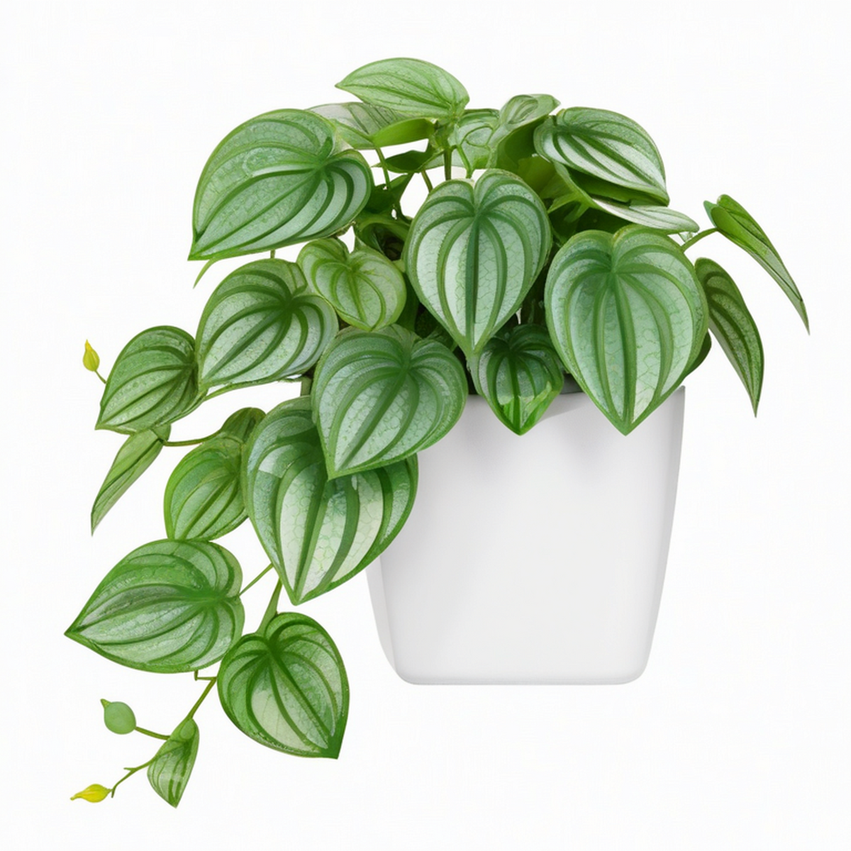 Plante artificielle en pot 35 cm feuillage PE vert argenté décoration intérieure