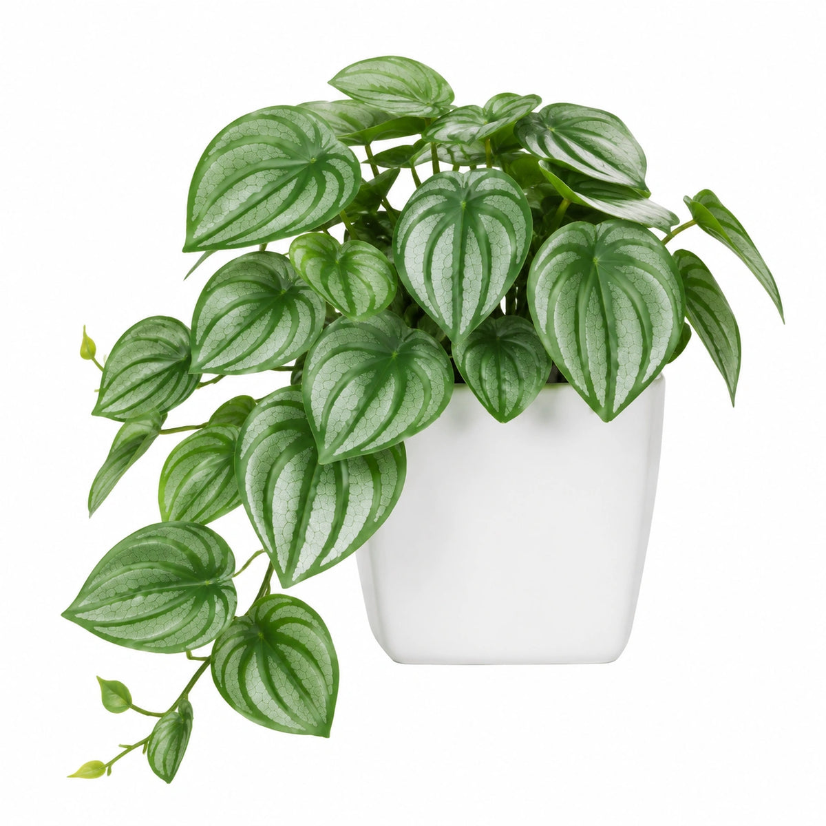 Plante artificielle en pot 35 cm feuillage PE vert argenté décoration intérieure