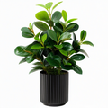 Plante verte artificielle 90 cm en plastique vert avec pot noir décoratif